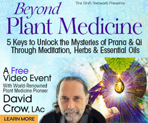 RSVP Now For  Beyond Plant Medicine With David Crow, LAc