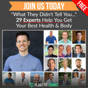 Watch Niko Rittenau Presenting at Plant Fit Summit 2019