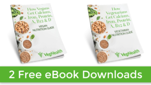 Free eBook Downloads for Vegans or Vegetarians from VegHealth Institute