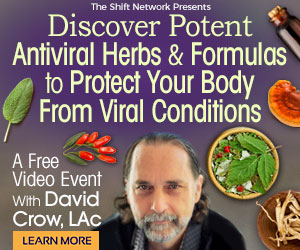 Explore Specific Herbal Formulas For Addressing Common Viral Conditions