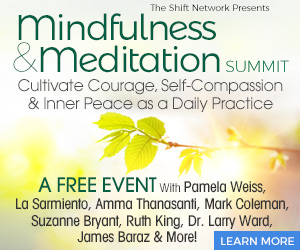 Mindfulness Meditation Summit Registration is Open