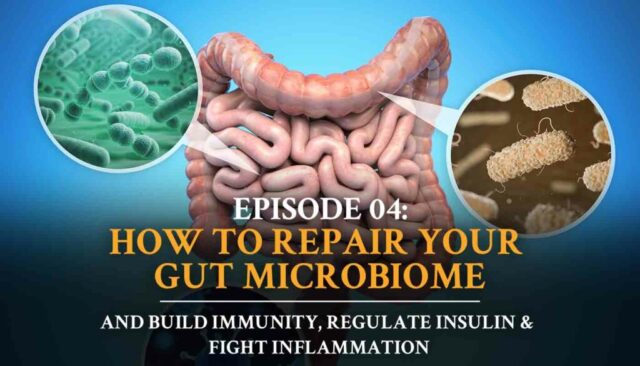 Autoimmune Answers: Episode 4 HOW TO REPAIR YOUR GUT MICROBIOME Airs Feb. 3