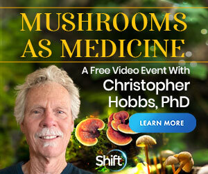 Learn How to Use Mushrooms as Medicine… and more!