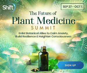 The Future of Plant Medicine Summit