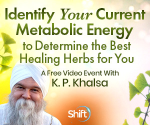 Identify Your Current Metabolic Energy To Determine The Best Healing Herbs For You